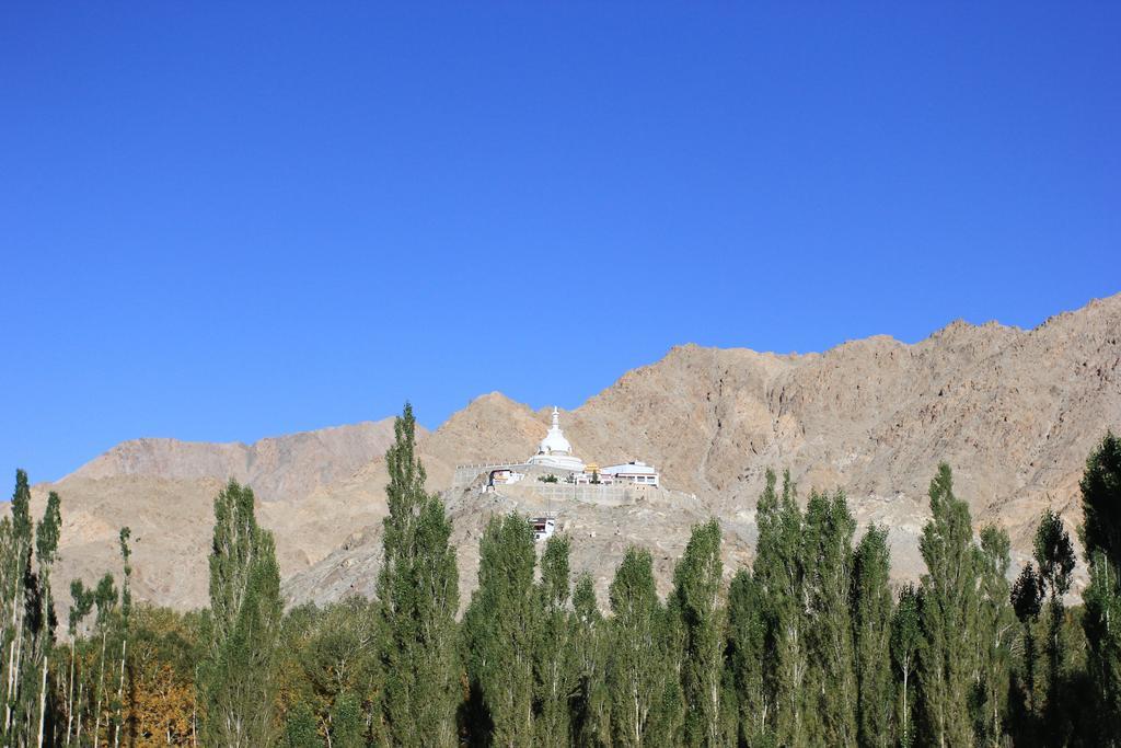 Hotel Nalanda Ladakh Leh Kültér fotó