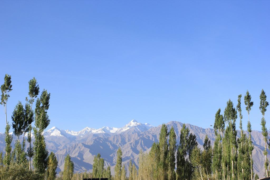 Hotel Nalanda Ladakh Leh Kültér fotó